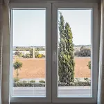 Jasmine Maisonettes * Paralimni